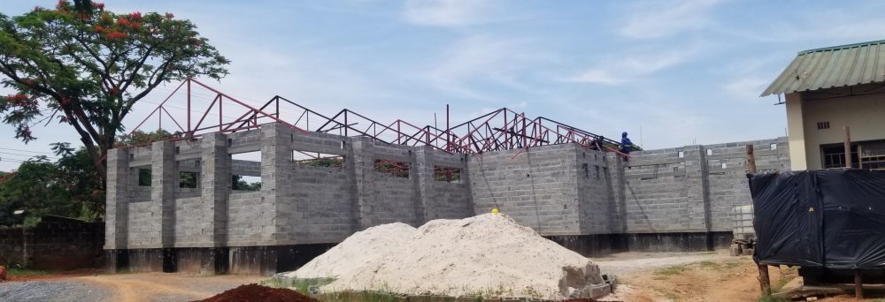 Michael Nugent's Zambia pages